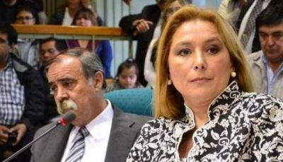 "Yo no se que es lo lindo que encontr� el vice" critic� Bubola