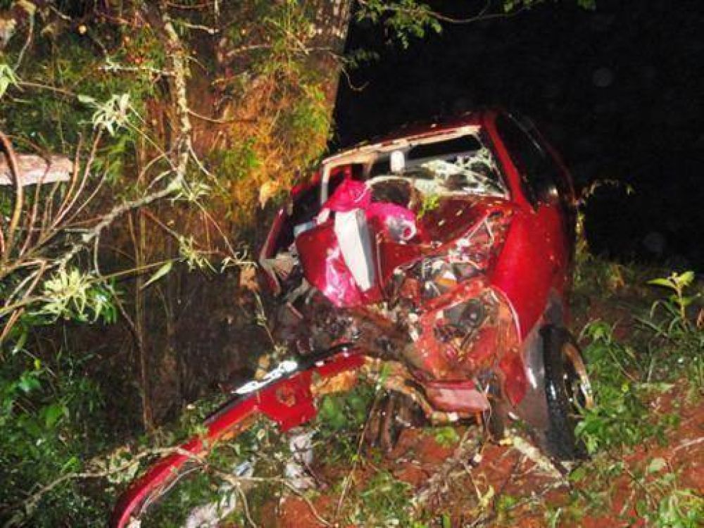 Prefecturiano muri� al chocar contra un �rbol