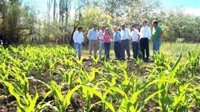Se pondr�n bajo riego 7.000 hect�reas del valle de Sarmiento