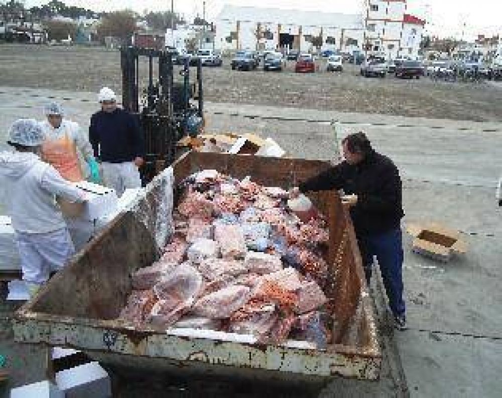 Decomisan 5 mil kilos de moluscos bivalvos, pescados y mariscos