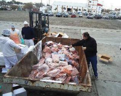 Decomisan 5 mil kilos de moluscos bivalvos, pescados y mariscos