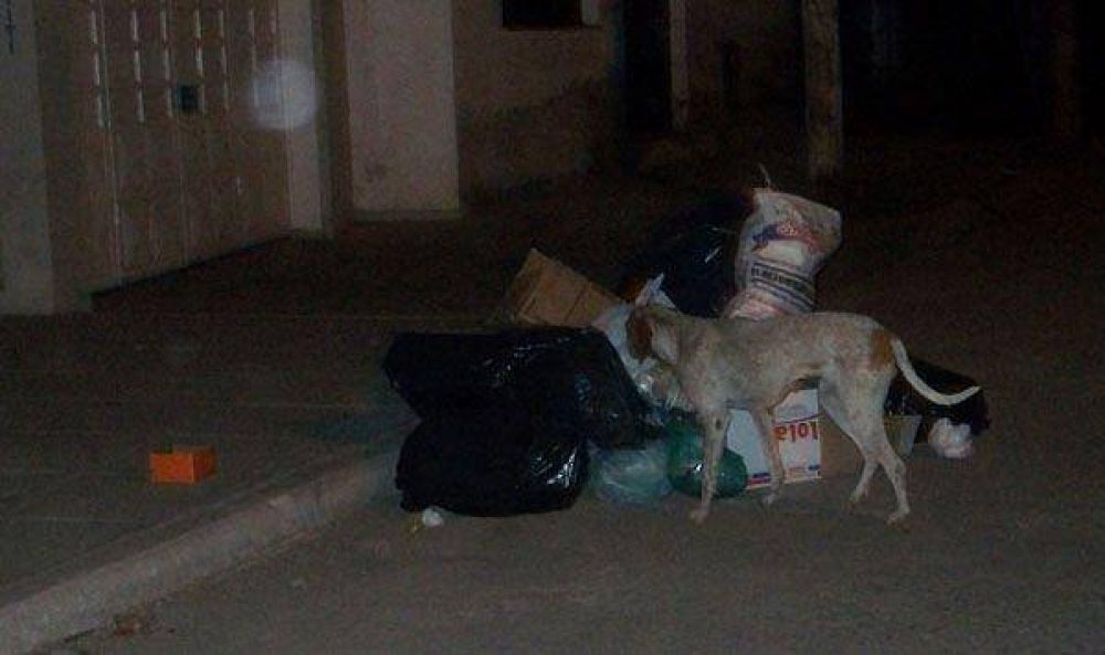 Residuos patol�gicos invaden barrio Rucci