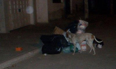 Residuos patol�gicos invaden barrio Rucci