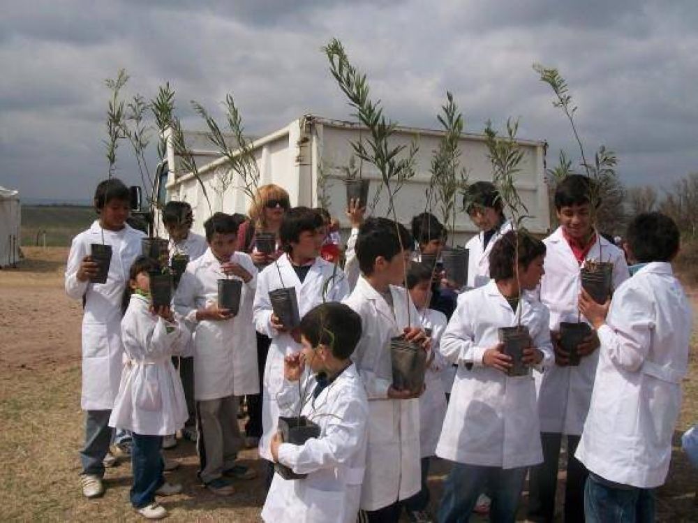 El Gobierno festejar� el D�a del �rbol con un pic nic y adem�s habr� distinciones para docentes y alumnos