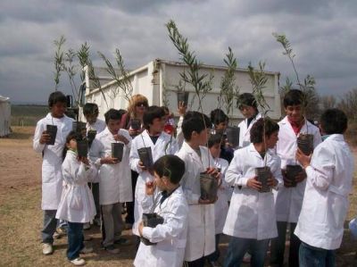 El Gobierno festejar� el D�a del �rbol con un pic nic y adem�s habr� distinciones para docentes y alumnos