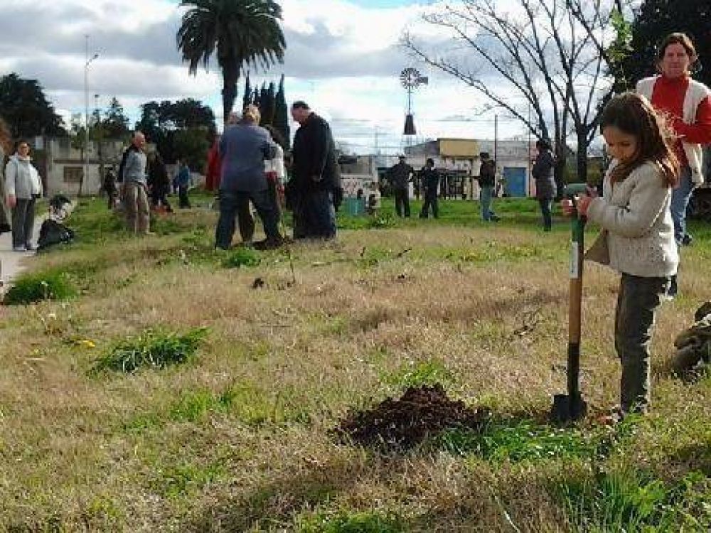 Vecinos plantaron 50 �rboles en el barrio El Tr�bol