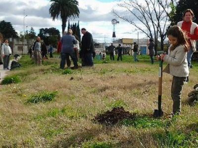 Vecinos plantaron 50 �rboles en el barrio El Tr�bol