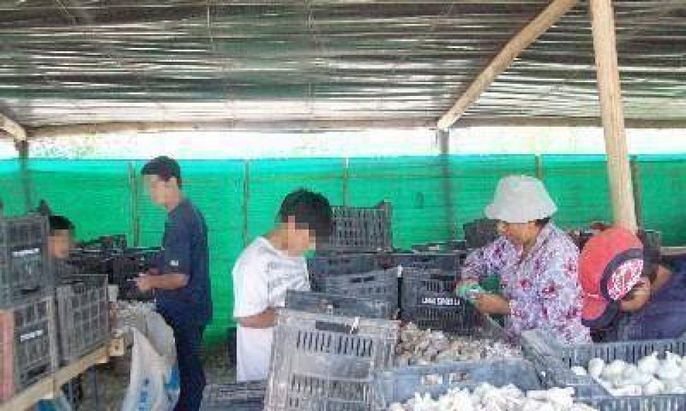 El trabajo infantil en el Gran Mendoza alcanza a unos 43 mil ni�os y j�venes