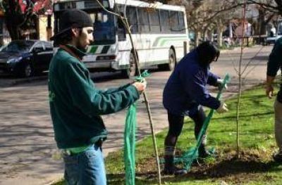 Plantaciones en la Semana del �rbol en el distrito