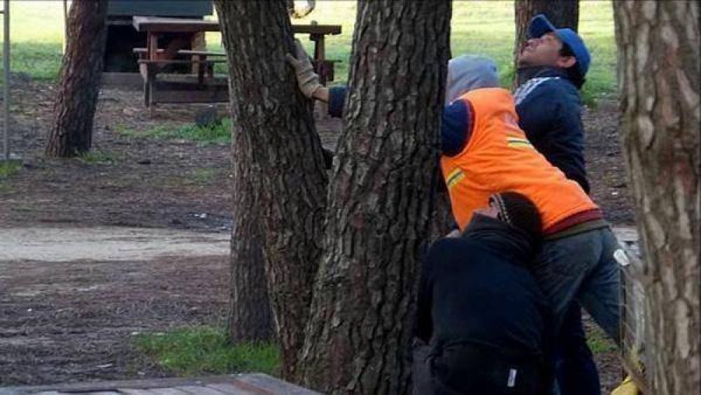 Denuncian tala de rboles en el Vivero de Miramar