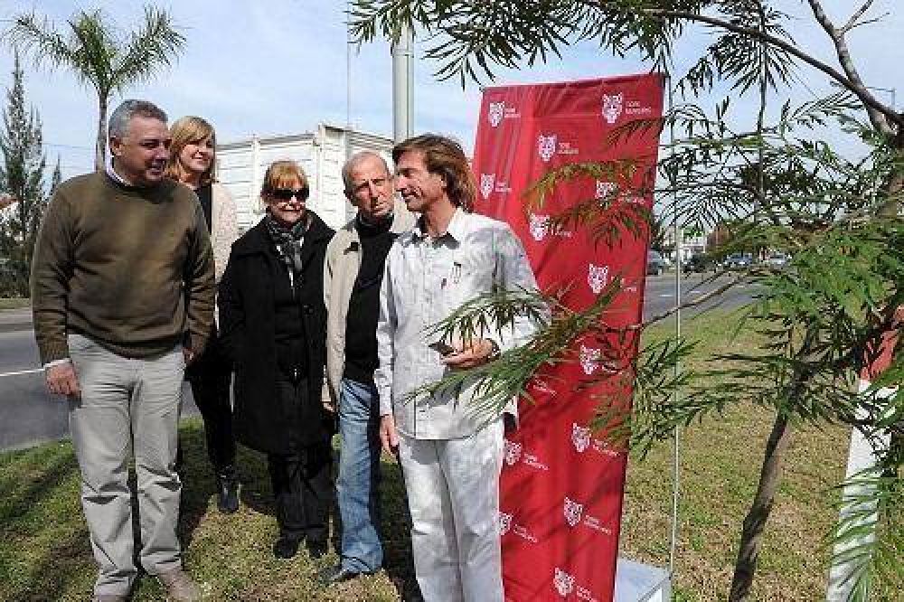 Tigre plant� 180 �rboles