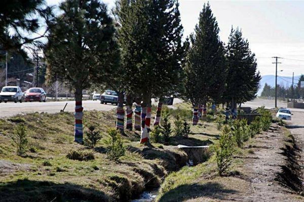  Plantar�n 3.500 �rboles en la avenida Juan Herman