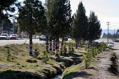  Plantar�n 3.500 �rboles en la avenida Juan Herman