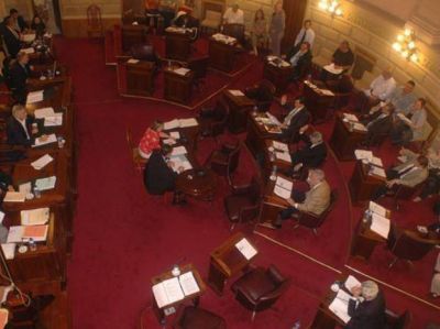 Media sanci�n del Senado a una moratoria fiscal