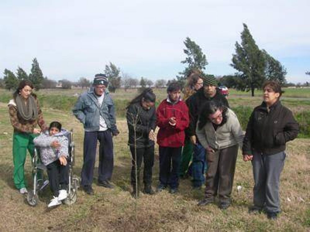 Se realiz� ayer una  plantaci�n de �rboles  en Bo. 20 de Octubre