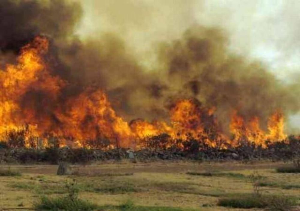 Sofocaron incendios en once hect�reas de la Capital