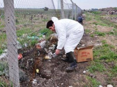 Tareas de limpieza y desratizaci�n en el ex Basural Municipal