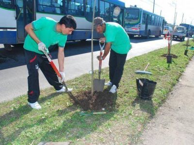 Concluy� con �xito la semana del arbolado