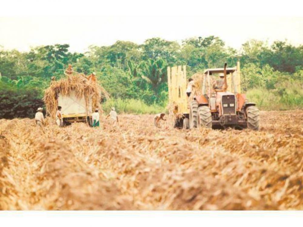 Ofrecen financiaci�n para el agro en Entre R�os