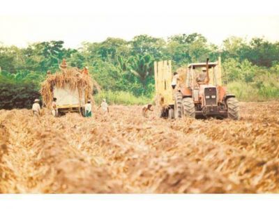 Ofrecen financiaci�n para el agro en Entre R�os