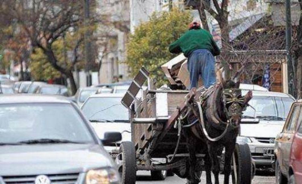 Proyectan la compra de 50 zootropos para reemplazar los carros
