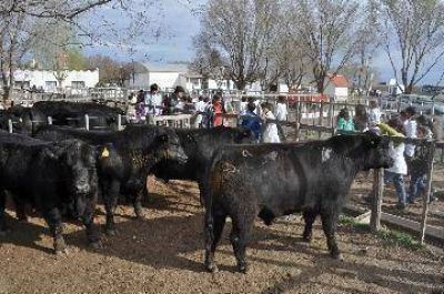 El buen tiempo contagia en la Rural de R�o Colorado