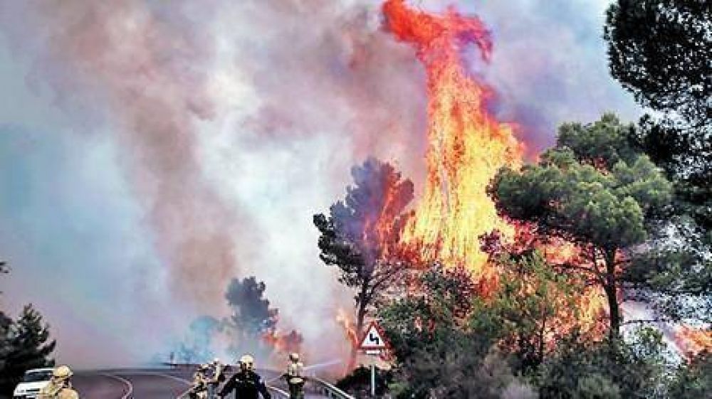 Un incendio forestal arrasa la Costa del Sol espa�ola
