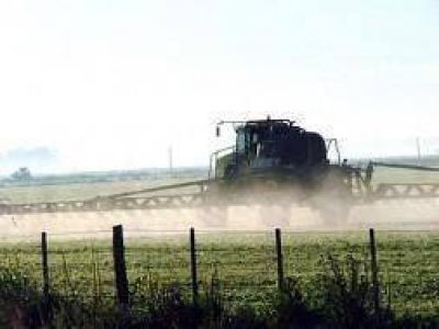 Agroqu�micos: Justicia fall� a favor de un amparo ambiental en Alberti