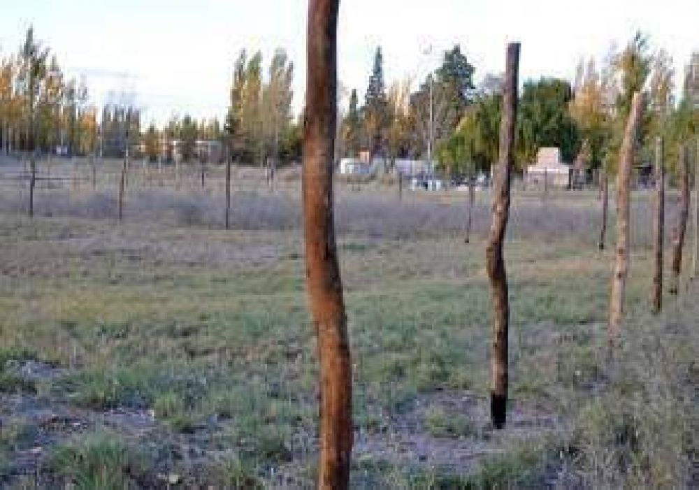 En busca de un lote