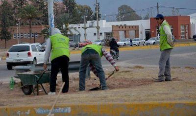 La Provincia limpia, lo que tendr�a que limpiar la municipalidad