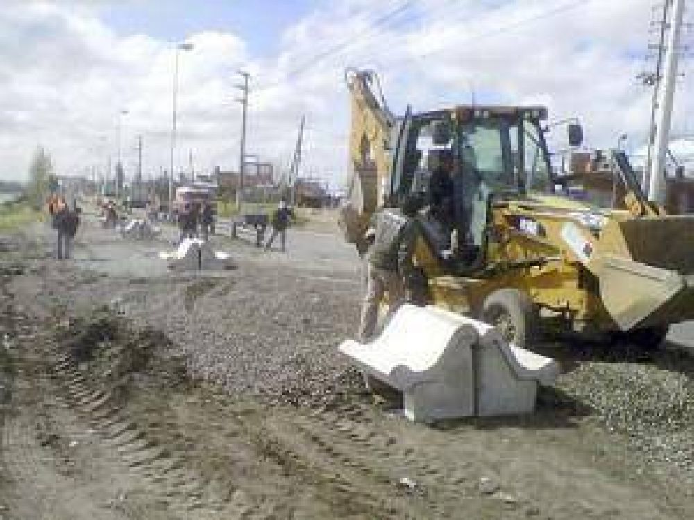 Renuevan el paisaje de la ribera con �rboles y bancos
