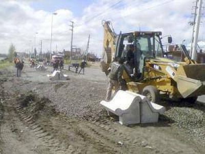 Renuevan el paisaje de la ribera con �rboles y bancos