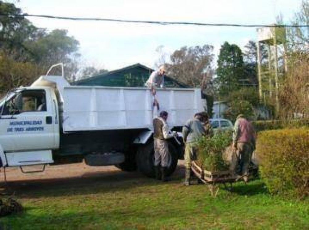 Donaci�n de �rboles de parte del Ministerio de Asuntos Agrarios