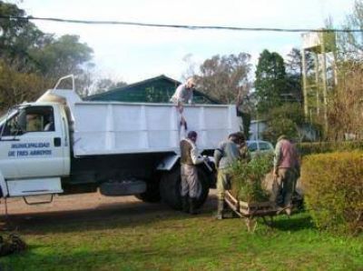 Donaci�n de �rboles de parte del Ministerio de Asuntos Agrarios