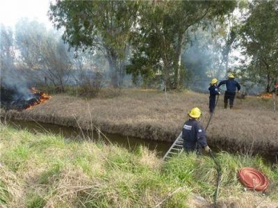 Se incendi� un monte a 500 metros de la planta urbana