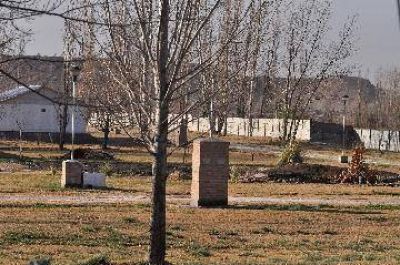 Abrupta ca�da de la superficie productiva en Plottier