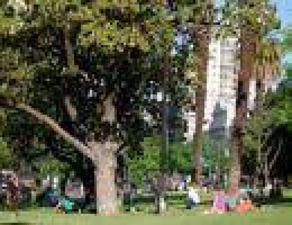 Se discute el proyecto de concesi�n de bares en plazas