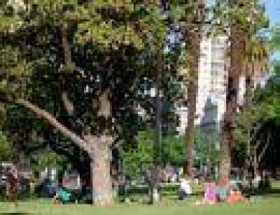Se discute el proyecto de concesi�n de bares en plazas