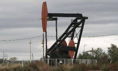 Mendoza no realiza el informe por los da�os ambientales de Repsol
