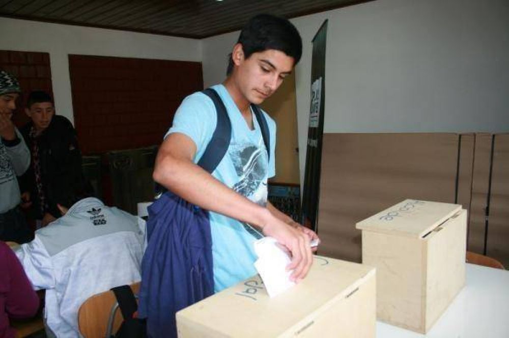 Votar a los 16: afirman que el cerebro reci�n madura a los 20 a�os