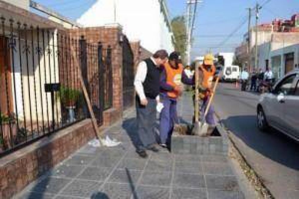 El municipio comenz� con la re-forestaci�n en veredas de la ciudad.