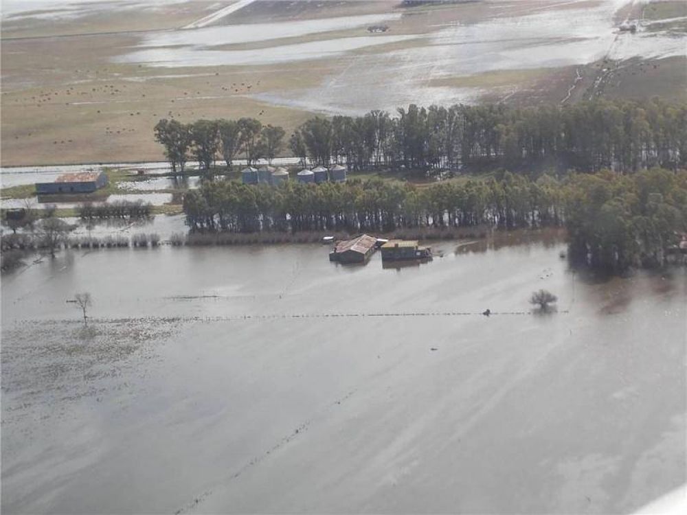 El campo estima p�rdidas por 4500 millones de pesos por las inundaciones