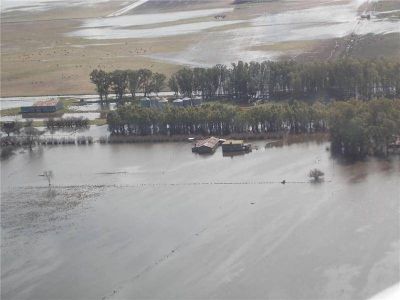 El campo estima p�rdidas por 4500 millones de pesos por las inundaciones