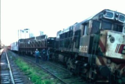 Otro tren descarril� antes de ingresar a Mar del Plata