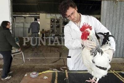  El campo vive su fiesta anual en R�o Cuarto