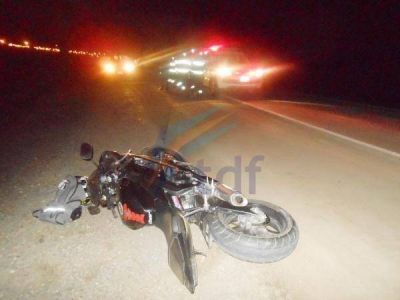 Motociclista accidentado tras impactar a un perro en la ruta