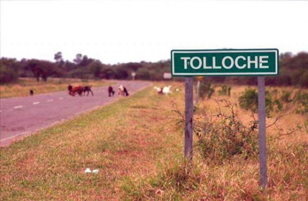 Casi 335 mil Ha. en Salta se encuentran en manos de extranjeros