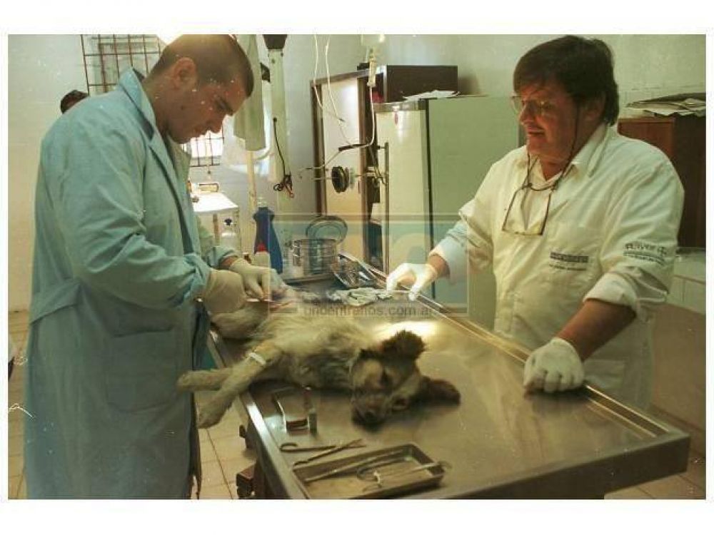 En Gualeguaych� se preparan para dictar Veterinaria en 2013