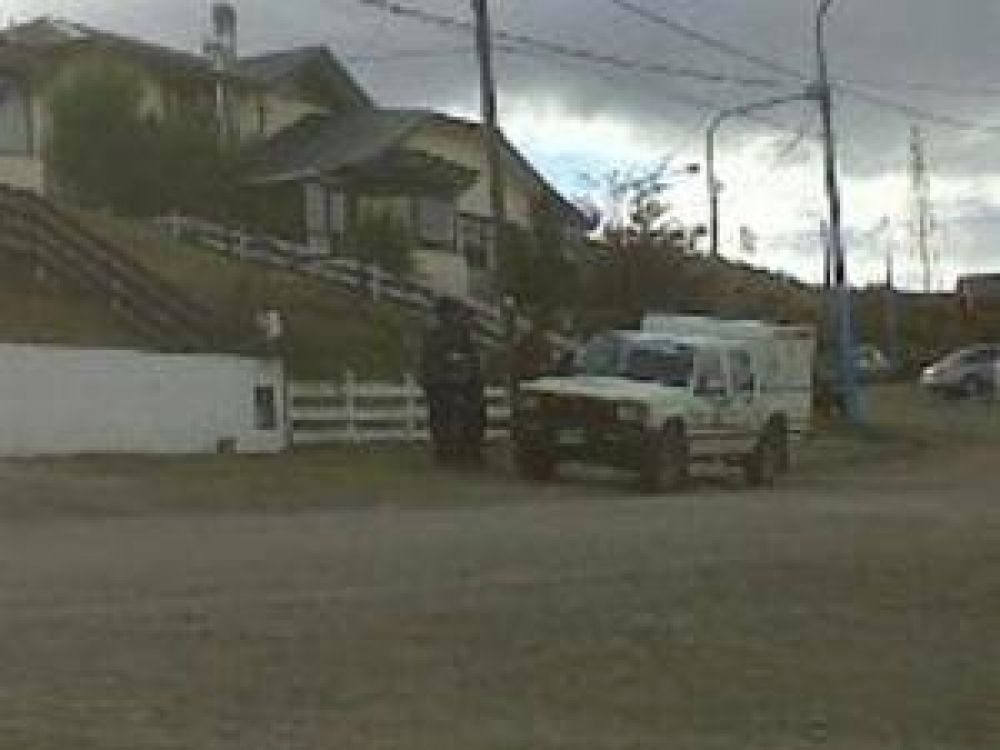Nuevo operativo de control de perros en la v�a p�blica