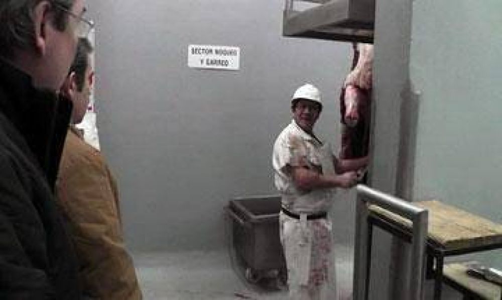 Utilizan nueva maquinaria en frigor�fico